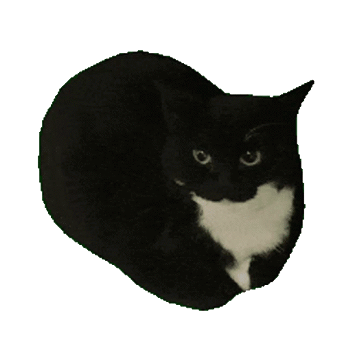 Ele se chama maxwell